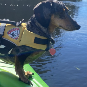 Fundraising Page: Ila Reichert